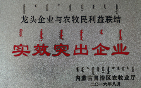 東達集團榮獲“實績突出企業”殊榮